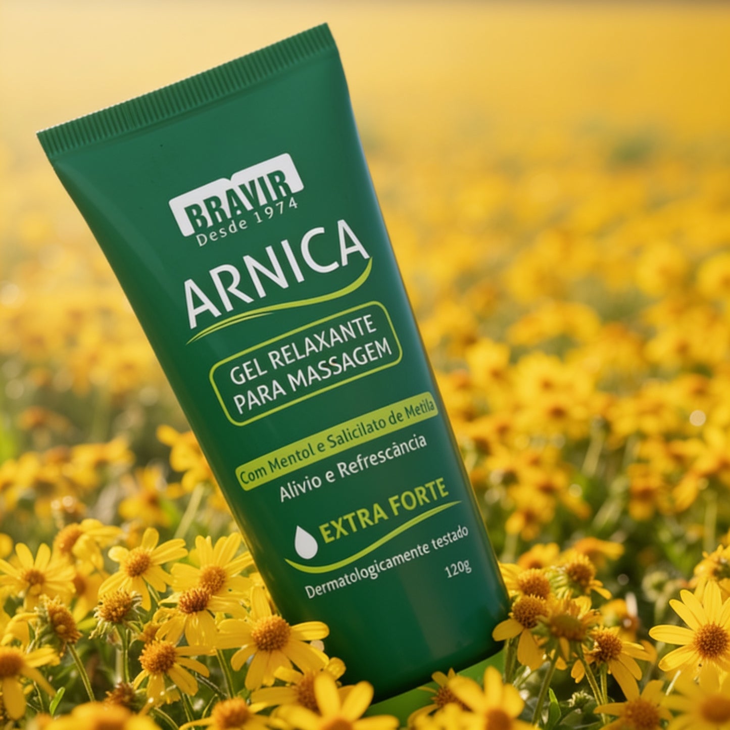 Kit 3x - Gel de Arnica Bravir - Compre 02 Leve 03