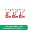 LABY Prot. Hidratante Labial MORANGO FPS15 KIT C/ 3